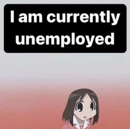 I am currently unemployed